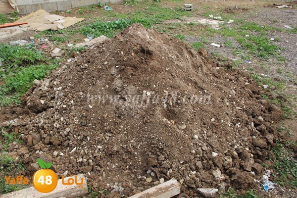 modahama lud 0216 (18).JPG